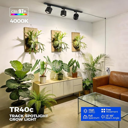 Barrina TR40c Track Grow Light for Indoor Growing, 3 x 40W, 15°-60° Adjustable Beam Angle, 4000K Ceiling Mount Full Spectrum Grow Lamp, LED H-Type Plant Light Bulbs for House Plants with Timer, Blcak