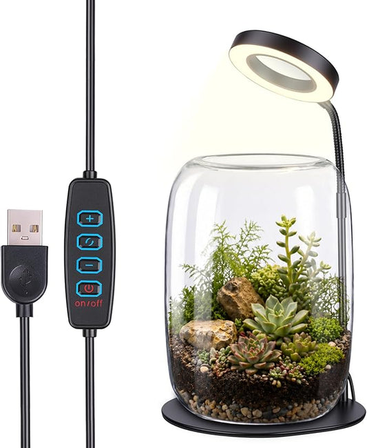 7X Aperture Grow Light for Indoor Plants, Mini Desk Grow Light with Glass Terrarium for Small Plants, Succulents & Moss, Height Adjustable Plant Growing Lamp for Home Office Gift