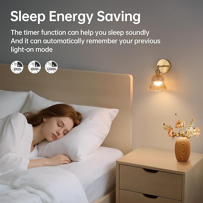 Shenmoyl Vintage Battery Operated Wall Sconces Set of Two, Rechargeable Battery Powered Wall Sconce with Remote Control, Wireless Dimmable LED Light for Bedside Indoor Living Room (Amber Pineapple)