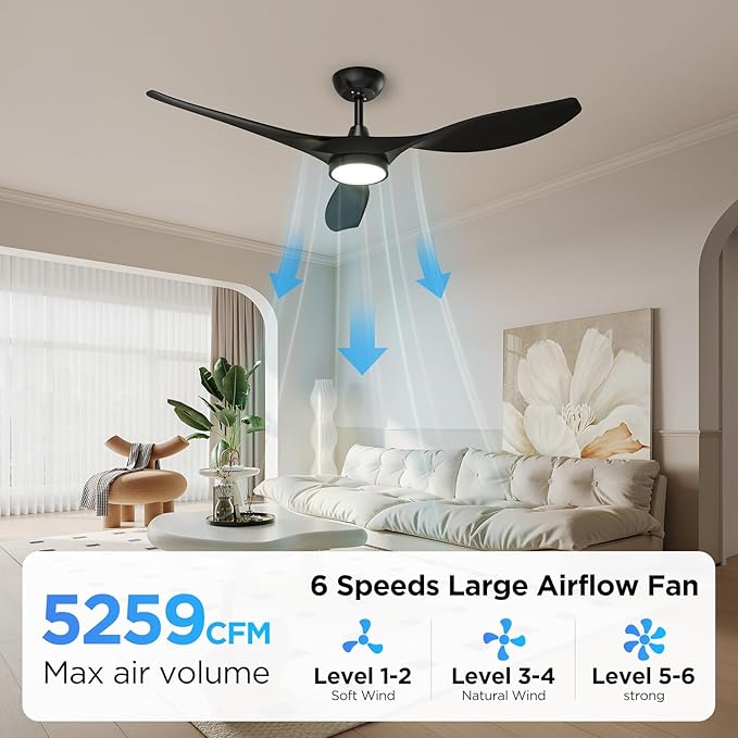 Roomratv Ceiling Fans with Lights and Remote Control,Quiet Noiseless Reversible DC Motor,6 Speeds,Timers, 3 CCT, Indoor Use, Plastic Blades,52 Inch Black Modern Ceiling Fan for Bedroom Living Room
