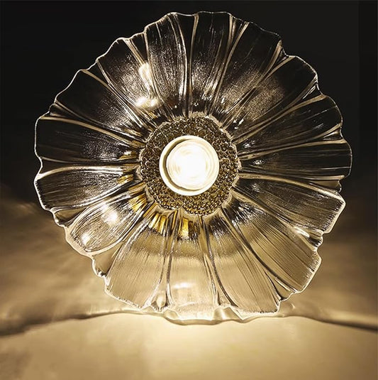 Chandelier, Flush Mount Ceiling Light, Clear Glass Shade Light Fixture, 1 Light Lighting Fixture for Bedroom,Dining Room,Kitchen, Hallway (Clear 4111CL)