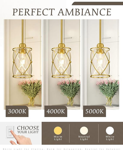 Brushed Gold Pendant Lights Kitchen Island, 2 Pack Brass Glass Pendant Light Fixture Farmhouse Cage Hanging Lighting with Rod for Kitchen Island Sink Bathroom, CH9176BG-2PKG