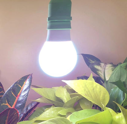 Miracle LED Un-Edison Grow Light Bulb, 9W Blue Spectrum White Daylight for Vegetables, Herbs, Hydroponics (1-Pack)