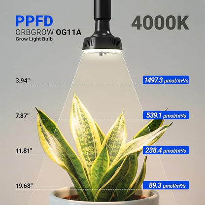 Barrina Orbgrow OG11A Grow Light Bulbs for Indoor Plants, Integrated Dimming & Timing, 4000K 33W(3 x 11W, 300 Watt Equiv), E26 Plant Light Bulb, Full Spectrum for Seeds and Greens, 3 Packs, Black