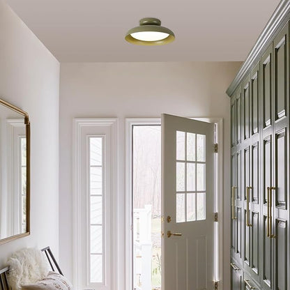 BISAMIYA Dimmable LED 15.7 inch Semi Flush Mount Ceiling Light, Modern Ceiling Light Fixture, Adjustable Angle Brass Accent, for Living Room, Laundry Room, Bedroom, 3000K/Warm White/22W