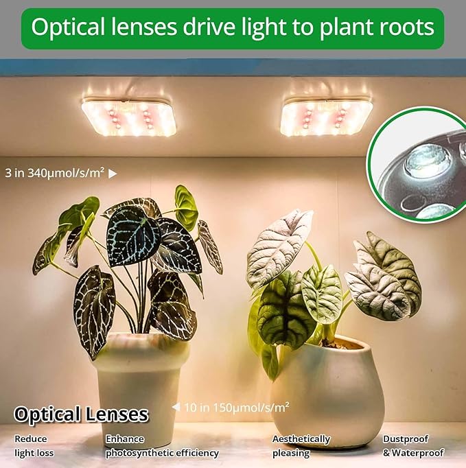 Full Spectrum LED Grow Light for Indoor Plants, 2 Panels 10W with 6/12/16h Timer Dimmable Plant Lights for Flower Veg Plant Growth USB, Warm White, 1-Pack