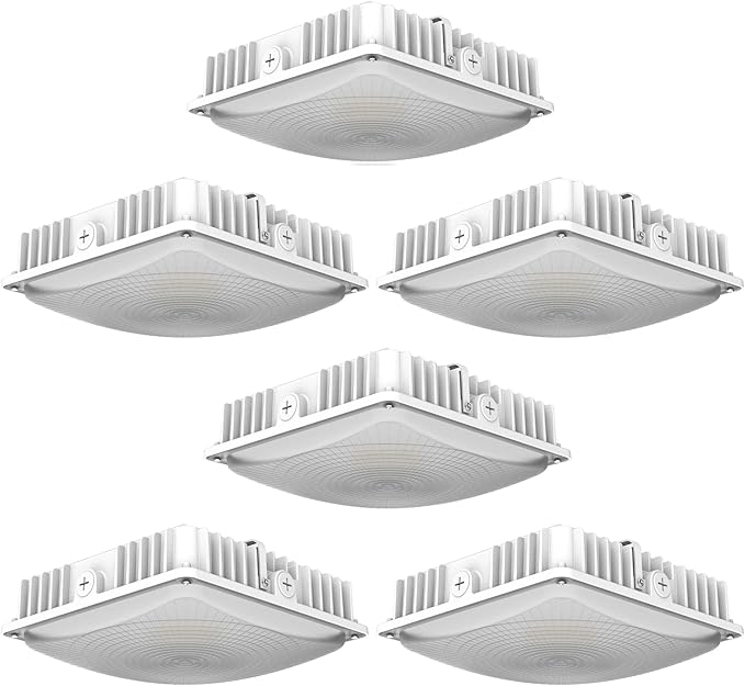 LED Canopy Lights Outdoor, with Selectable Wattage (100/80/60W) and CCT,IP65 Waterproof, for Carport, Gas Station, Tunnel, Warehouse, Inner Parkinglot,Shop Lights 10 * 10 (50W-6P)