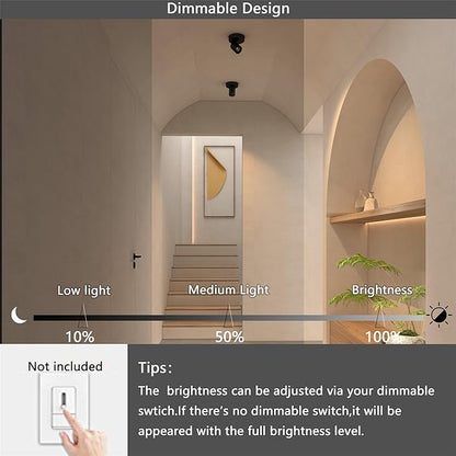 Flush Mount Ceiling Spotlight Dimmable Small Indoor Ceiling Light, Adjustable Directional Spotlight for Pictures Living Room Office Hallway - 3000K 11W 25° Flicker Free (Black)