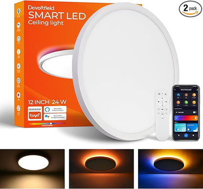 2 Pack Smart RGB Ceiling Light with Remote, 24W 2640LM, 12 Inch LED Flush Mount Ceiling Light Works with Alexa Google Home, Dimmable&2700K-6500K, Low Profile Wired Light for Bedroom Kitchen
