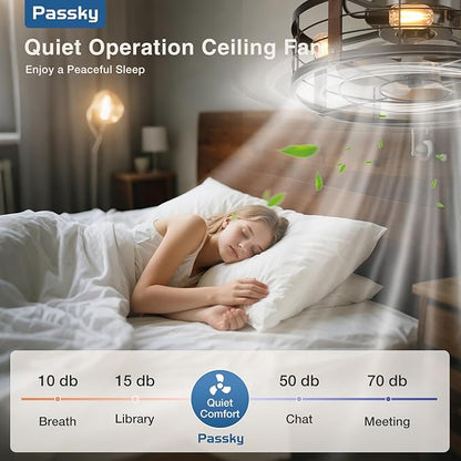 Passky 20 Inch Farmhouse Caged Ceiling Fans with Lights and Remote, Black Downrod Mount Bladeless Fandelier, 6 Speeds Bladeless Ceiling Fan Light for Bedroom, Kitchen, Living Room, Indoor