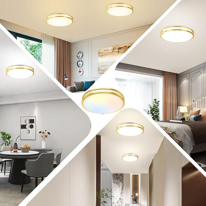 TOBUSA 16in 50W LED Flush Mount Ceiling Light 5600lm Super Bright, Dimmable LED Light Fixture 2700K-6500K 5CCT Adjusted, 1-Pack Modern Light Fixture Ceiling, Gold