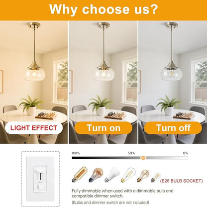 Modern Pendant Lights for Kitchen Island, Brushed Nickel Pendant Light Fixtures with 8.5" Clear Glass Shade, Industrial Hanging Pendant Lights Fixture for Kitchen Island Dining Room Entryway 1 Pack