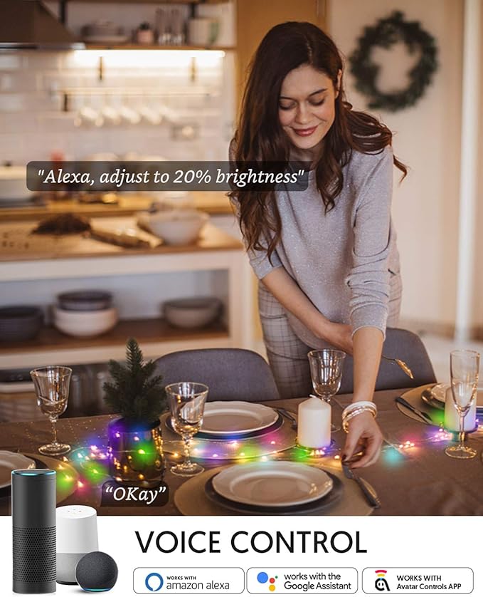 Avatar Controls 32.8ft Smart Christmas Lights Works w/Alexa Google, Color Changing LED Lights with Remote, Music Sync Fairy Lights with 20 Flash Modes, Plug in USB String Lights with Timer