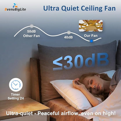 Large Ceiling Fan No Light: Modern 66 Inch 8 Blade Outdoor Ceiling Fans with Remote APP Control - Black Gold Big Fan without Light Indoor Reversible 6 Speed Quiet DC Motor