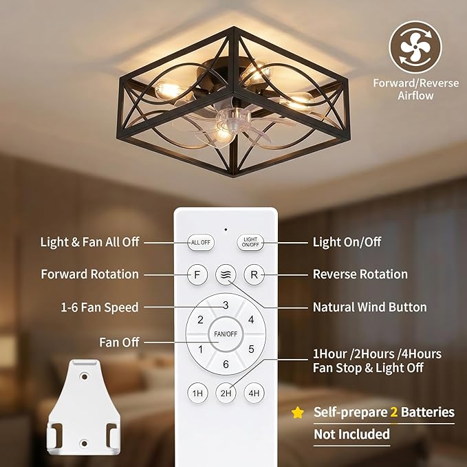 LIONVISON Caged Ceiling Fan with Lights: 16" Small Flush Mount Low Profile Fandelier with Remote DC Motor Reversible 6 Speeds Farmhouse Industrial Ceiling Fans for Bedroom Kitchen Black
