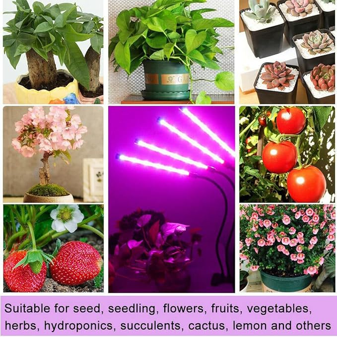Clip On Grow Light for Indoor Plants,2 Pack Full Spectrum Led Plant Grow Lights with Auto-Timer, Plant Growing Lamp for Seed Starting,Houseplants, Bonsai, Pot Plant,2 Lamp(2pack)