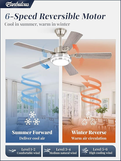 Fanbulous 48 Inch Ceiling Fans with Lights and Remote, Brushed Nickel Ceiling Fan with 8 Dual-Color Blades, Indoor/Outdoor Large Ceiling Fans, Reversible DC Motor, 6-Speed, 3CCT for Living Porch Patio