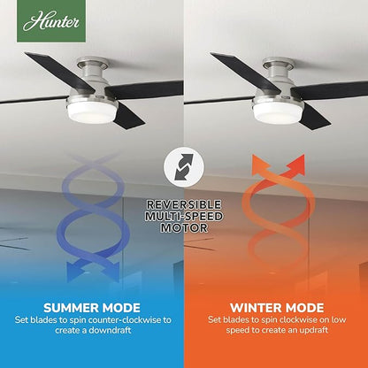 Hunter 52 inch Indoor Ceiling Fan with LED Light and Remote Control - Modern Ceiling Fan, Low Profile Mount, 4 Black Oak Blades, For Bedroom, Living Room, or Kitchen - Dempsey 59241, Brushed Nickel