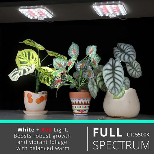 Full Spectrum LED Grow Light for Indoor Plants, 2 Panels 10W with 6/12/16h Timer Dimmable Plant Lights for Flower Veg Plant Growth USB, Natural White, 1-Pack