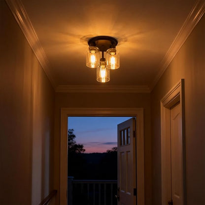 ROTTOGOON Semi Flush Mount Ceiling Light, Close to Ceiling Lights Fixtures, 3 Light Kitchen Ceiling Lights Fixtures with Glass Shades, Hallway Light Fixtures Ceiling Mount for Foyer, 9.9" x 13", Black