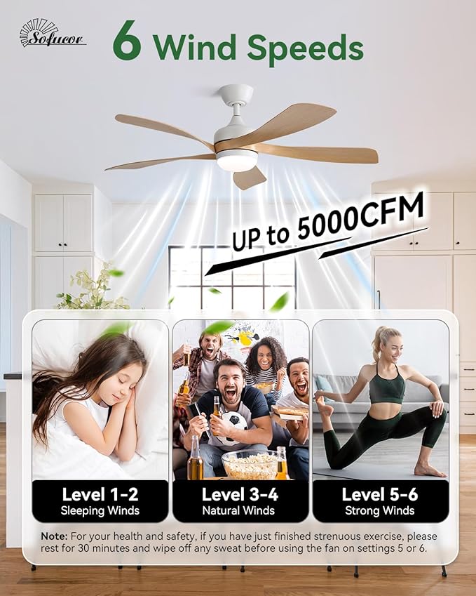 Sofucor 52 Inch Ceiling Fans with Lights and Remote, Outdoor Ceiling Fan with Light 6-Speed 3 CCT 3-Timer, Modern Low Profile Ceiling Fan 5 Blade Reversible DC Motor for Living Room Bedroom Patio