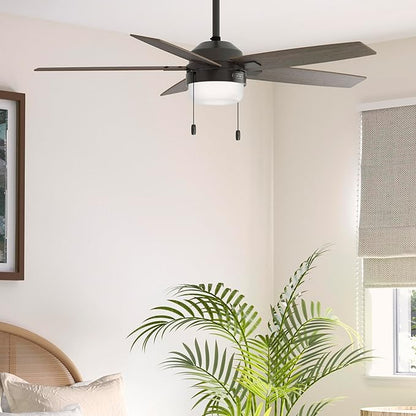 Hunter Ceiling Fan with LED Light - Black Ceiling Fan with Pull Chain, For Bedroom or Living Room, Standard Mount, No Remote, 5 Blades, Includes Bulbs - Anisten (Noble Bronze, 52 inch)
