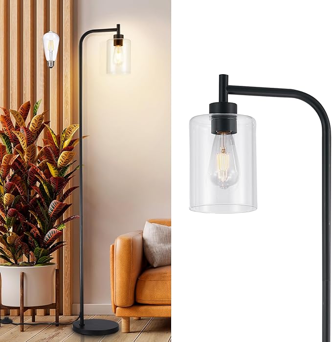 DLLT Floor Lamp Tall for Room: Black Standing Lamp with Clear Glass Lampshade for Living Room - Modern Bright Lamp for Bedroom - Industrial Corner Floor Lamps for Office 8W Led Bulb Included