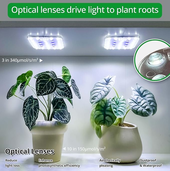 Full Spectrum LED Grow Light for Indoor Plants, 2 Panels 10W with 6/12/16h Timer Dimmable Plant Lights for Flower Veg Plant Growth USB, Bluish White, 1-Pack