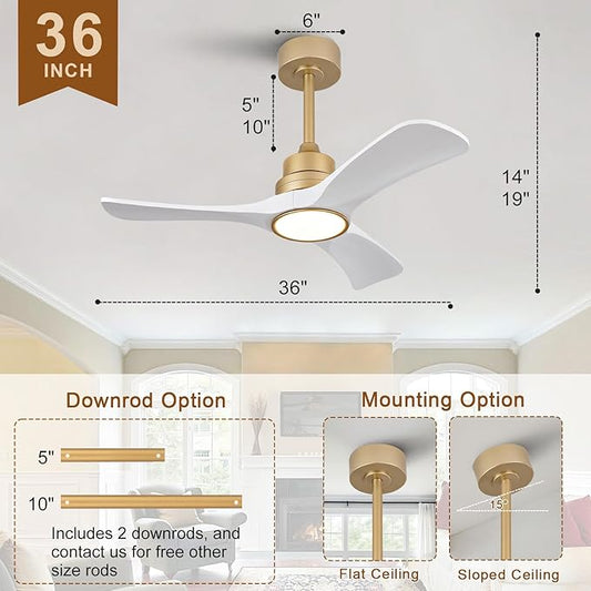 White Gold Ceiling Fans with Lights,36 inch Solid Wood Ceiling Fan with Remote Control,Wall Switch,Dimmable,Reversible,Power Off Memory Modern Ceiling Fan Indoor Outdoor for Bedroom Patio