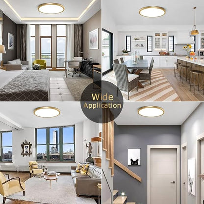 15.7Inch LED Ceiling Light Fixture Flush Mount, 32W(320W Equivalent), 3800LM, 5000K Daylight White, IP40, Flat Modern Round Ceiling Light for Bedrooms, Living Rooms, Bathrooms, Stairwells, etc.(Gold)