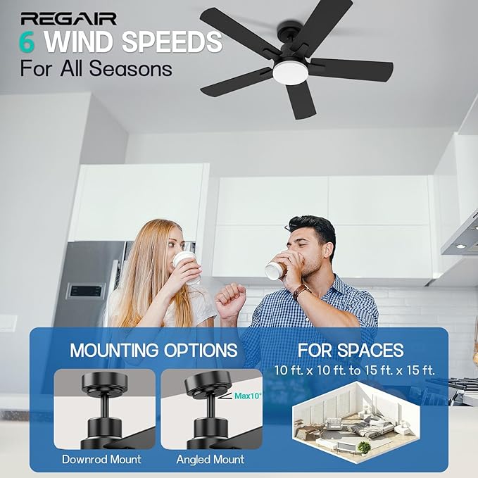 Ceiling Fan with Light 42-Inch, Remote Control Reversible DC Motors, 3CCT Dimmable Timer Noiseless, Black Ceiling Fan for Bedroom Living Room, Indoor&Outdoor ETL Listed