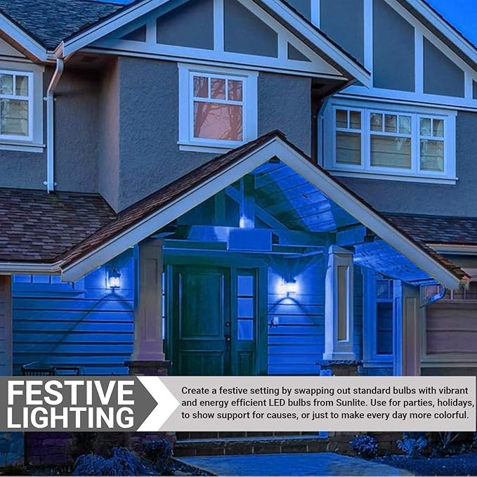 Sunlite 80145 A19 Colored Light Bulb 3 Watts (25w Equivalent), E26 Medium Base, Non-Dimmable, UL Listed, Party Decoration, Holiday Lighting, 1 Count, Blue