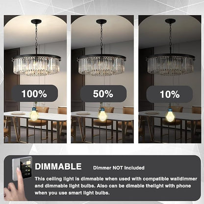 Chandeliers 9-Light, Modern Pendant Lighting, Metal Ceiling Light Fixture Adjustable Height for Kitchen Dining Room Living Room Hallway, Dia 24" Black