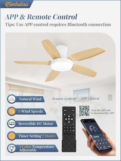 Fanbulous Ceiling Fans with Lights, 42 inch Low Profile Flush Mount Ceiling Fan with Remote/APP Control,Black Modern Ceiling Fan with LED Light for Bedroom Indoor Outdoor-LED Dimmable, 3CCT, 6 Speeds