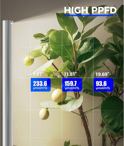 Barrina T1S Standing Grow Light for Indoor Plants with Timer, 65W 660nm High PPFD Tera Series Vertical Full Spectrum Grow Lights Adjustable Height 5FT-5.6FT, Foot Switch, Non-Glare Design, Silver