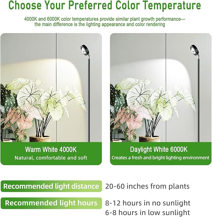 20W Full Spectrum Grow Light, 3000LM High-CRI COB LED Floor Lamp with 6/8/12H Timer, Adjustable Height (28"-83") & Angle, Grow Lights for Indoor Plants, Succulents & Flowers (warm white 4000K)