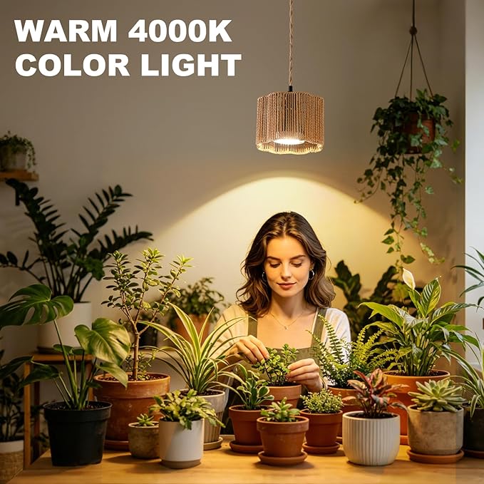 Hanging Grow Light for Indoor Plants, 30W 4000K Full Spectrum LED Pendant with Timer, Hand-Woven Shade, 15FT Cord, Kit for Flowering Plants, Pothos, Kitchen Office
