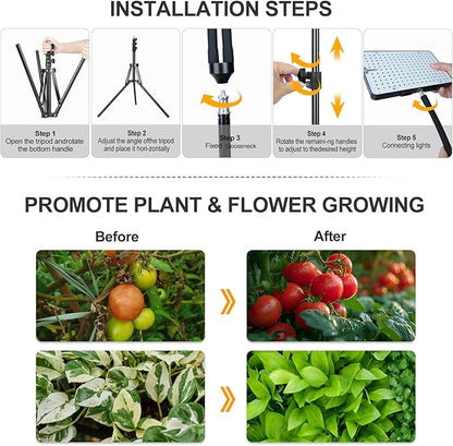 Grow Lights for Indoor Plants 100W, Natural Sunlight Full Spectrum Plant Growing Lamps for Houseplants & Bonsai Tree, 4/8/12/16/20 Hr Timer Plant Light Auto On/Off Everyday
