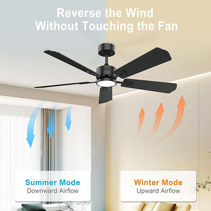 DAMINY 52 inch Ceiling Fan with Light,6CCT,5 Blade,Low Profile Ceiling Fan with Light and Remote Control,Downrods,Black,Living Room,Indoor/Outdoor Use