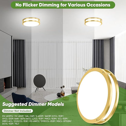 10 Inch LED Flush Mount Ceiling Light, Gold Kitchen Lighting Fixture with 2700K/3000K/4000K/5000K/6500K 5 Color Adjusted, Dimmable Modern Round LED Light for Bedroom Living Room Laundry, 1-Pack