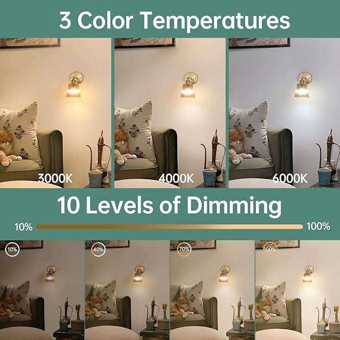 Shenmoyl Vintage Battery Operated Wall Sconce with Amber Stripe Glass Lampshade Rechargeable Battery Powered Wall Light with Remote Control for Bedside Bedroom Doorway, Set of 2
