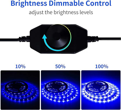 12 Volt 20ft Blue led Strip Lights, Non-Waterproof 360 LEDs Blue led Lights for Bedroom, Shops, Christmas, Halloween.