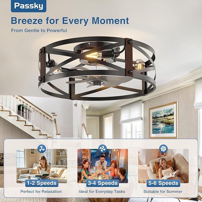 Passky 20" Farmhouse Flush Mount Ceiling Fans with Lights and Remote, Industrial Black Caged Low Profile Fandelier, 6 Speeds Bladeless Ceiling Fan for Bedroom, Kitchen, Living Room