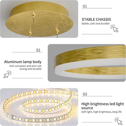 Mikeru Modern Ring Chandelier Light, LED Pendant Light Fixtures with Remote Control 3000k-6500K Adjustable Color Temperature Light for Living Room, Bedroom, Kitchen （15.7in