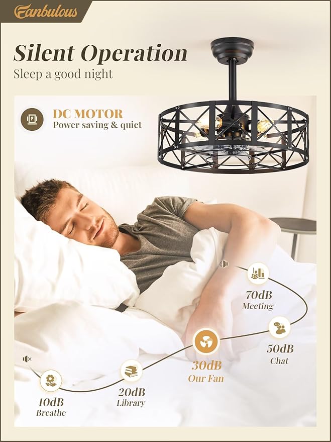 Fanbulous 20 Inch Fandelier Caged Ceiling Fans with Lights and Remote, Black Bladeless Ceiling Fan with 6 Speeds and Timing, Farmhouse Samll Fan Lights Ceiling Fixtures For Kitchen, Bedroom-Black