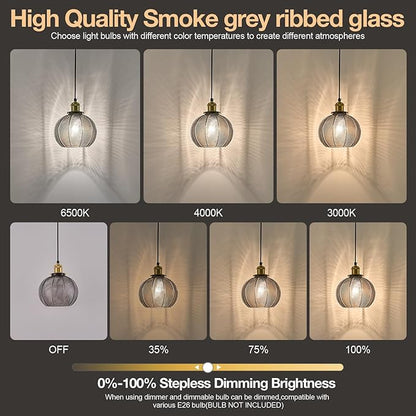 Modern Plug in Hanging Light, 7.8 Inch Glass Pendant Light with 14.76 FT Adjustable Plug in Cord, Vintage Smoke Gray Hanging Lamp for Dining Room Bedroom Kitchen Island Bathroom E26