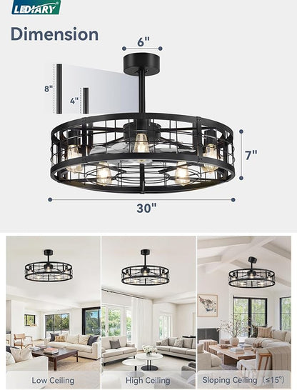 LEDIARY 30 inch Fandelier Caged Ceiling Fan with Light, Bladeless Ceiling Fan with Remote, Farmhouse Fan Lights Ceiling Fixtures for Kitchen, Bedroom, Outdoor(6 Speed, Timing)-Black