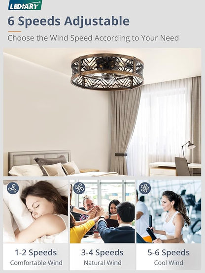 LEDIARY 20" Caged Ceiling Fan with Light, Small Flush Mount, App&Remote Control, Low Profile Bladeless Fan Light Fixture 6 Speed, Reversible and Quiet Motor-Black Gold