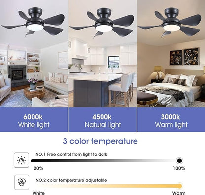 Kviflon 32 Inch Modern Ceiling Fans with Lights, Small Flush Mount Ceiling Fan with Light and Remote/APP Control, 5 Reversible 6 Speeds Curved Blades, 3 CCT Dimmable Lights for Bedroom, Black