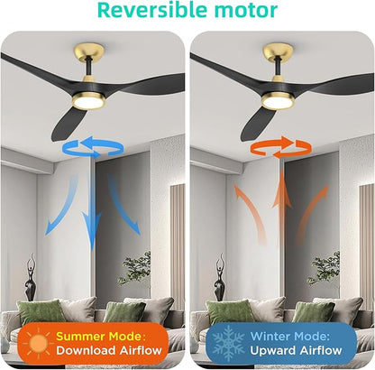 Roomratv Ceiling Fans with Lights and Remote Control,Quiet Noiseless Reversible DC Motor,6 Speeds,Timers, 3 CCT, Indoor Use, Plastic Blades,52 Inch Black and Gold Modern Ceiling Fan for Living Room